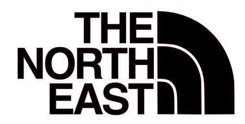 Vinyl the north east - vinyl,